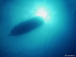 Beautiful day for diving and some sun at a mooring in Nas... by Steven Anderson 